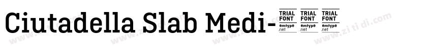 Ciutadella Slab Medi字体转换